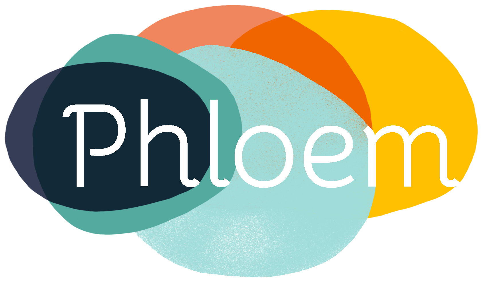 phloem-coaching.fr